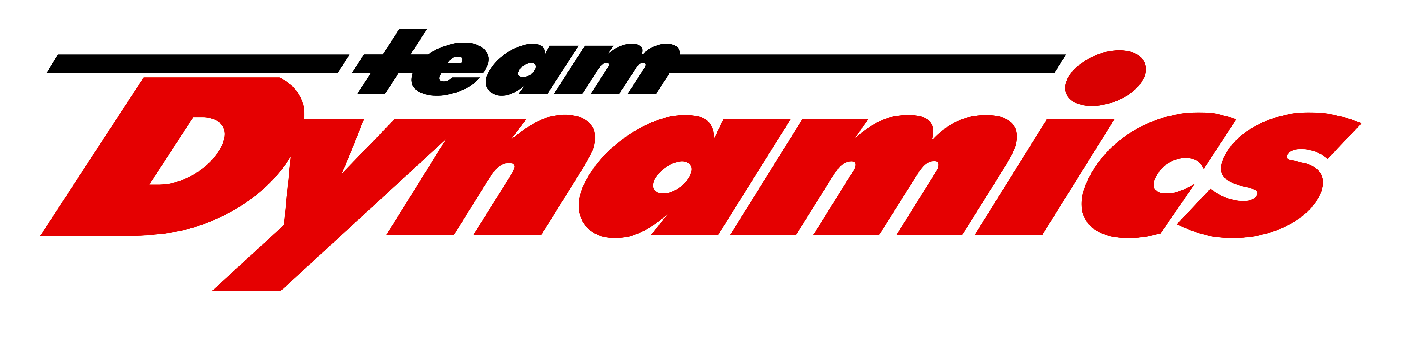 TEAM DYNAMICS logo